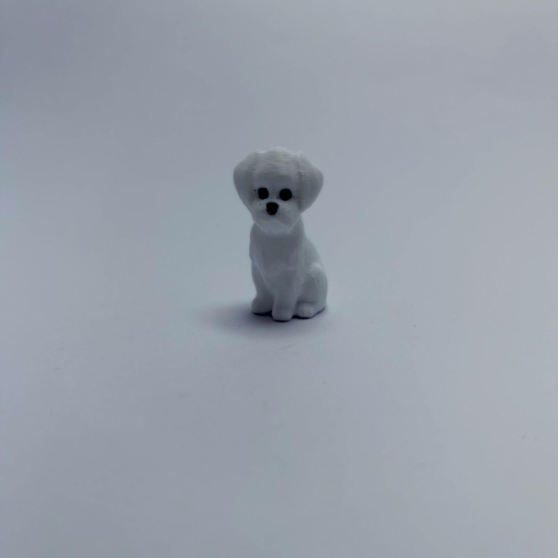 Sevimli köpek - Teraryum malzemesi