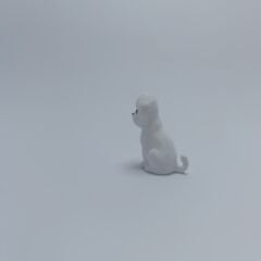 Sevimli köpek - Teraryum malzemesi
