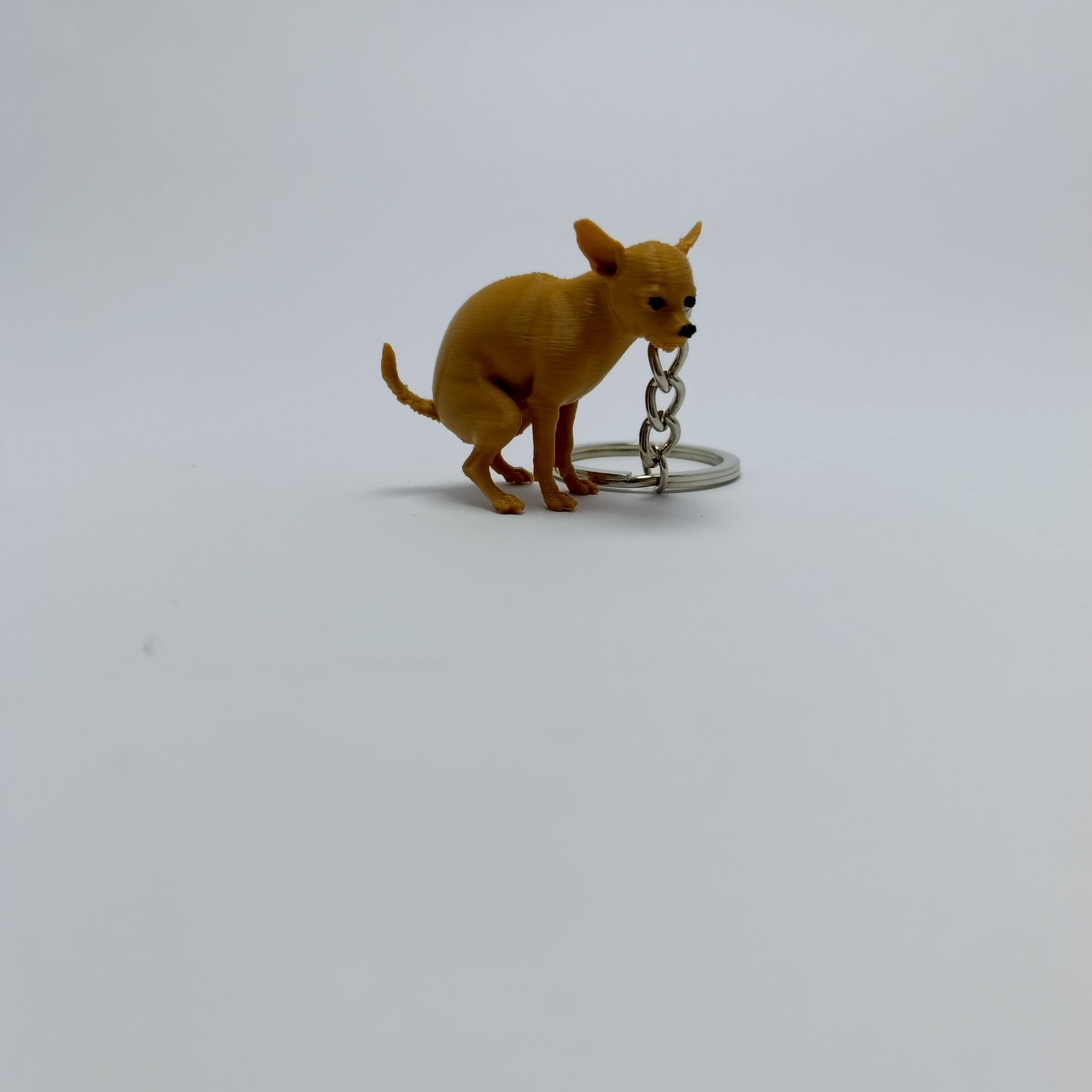 Chihuahua   - Anahtarlık
