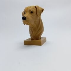 Golden Retriever - Büst