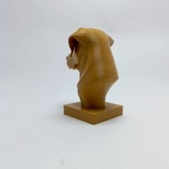 Golden Retriever - Büst