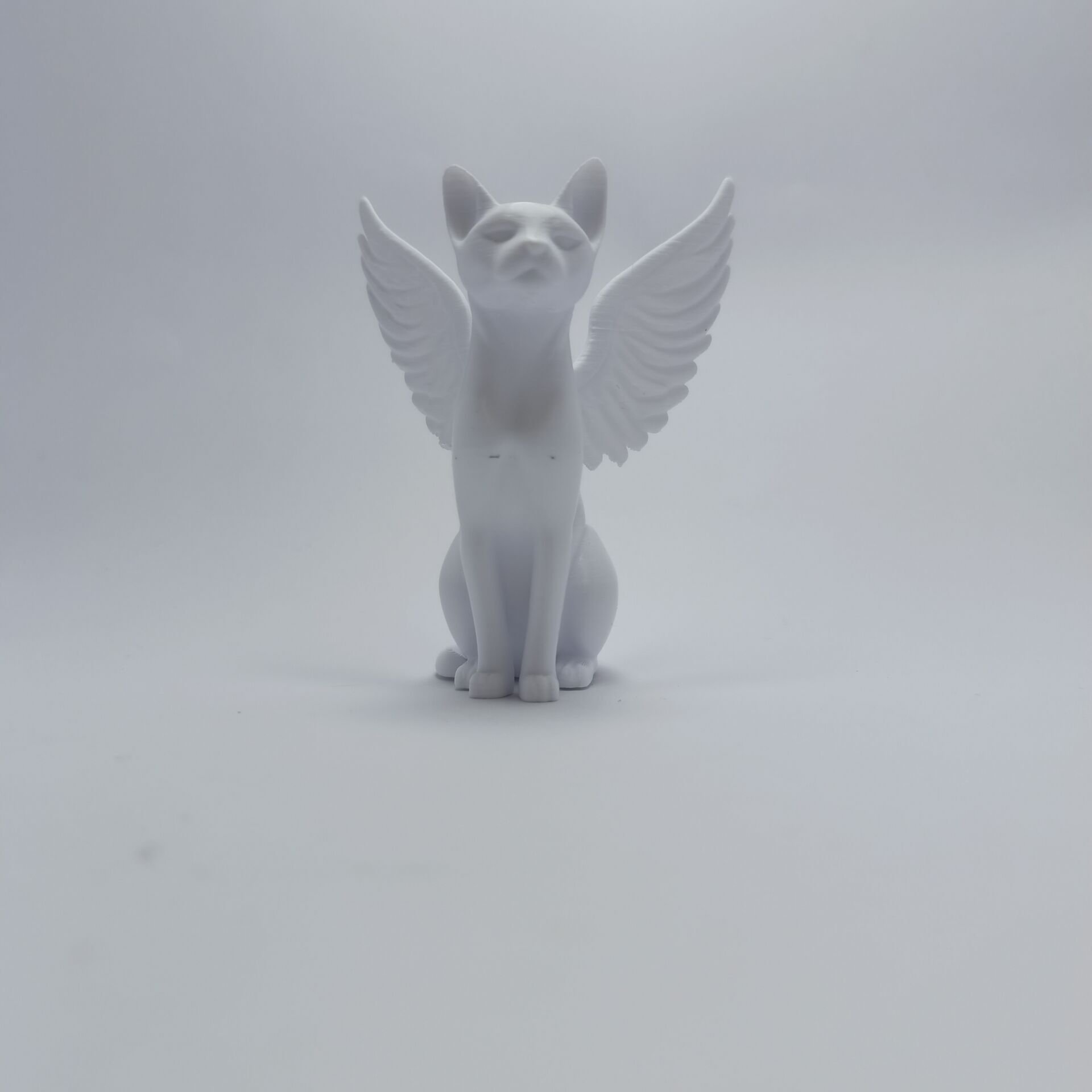 Melek Kedi - Biblo