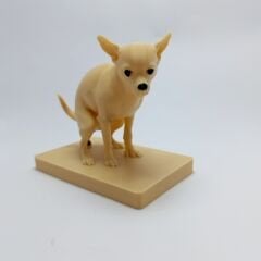 Chihuahua - Biblo