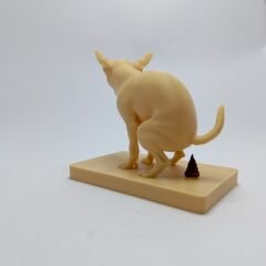 Chihuahua - Biblo
