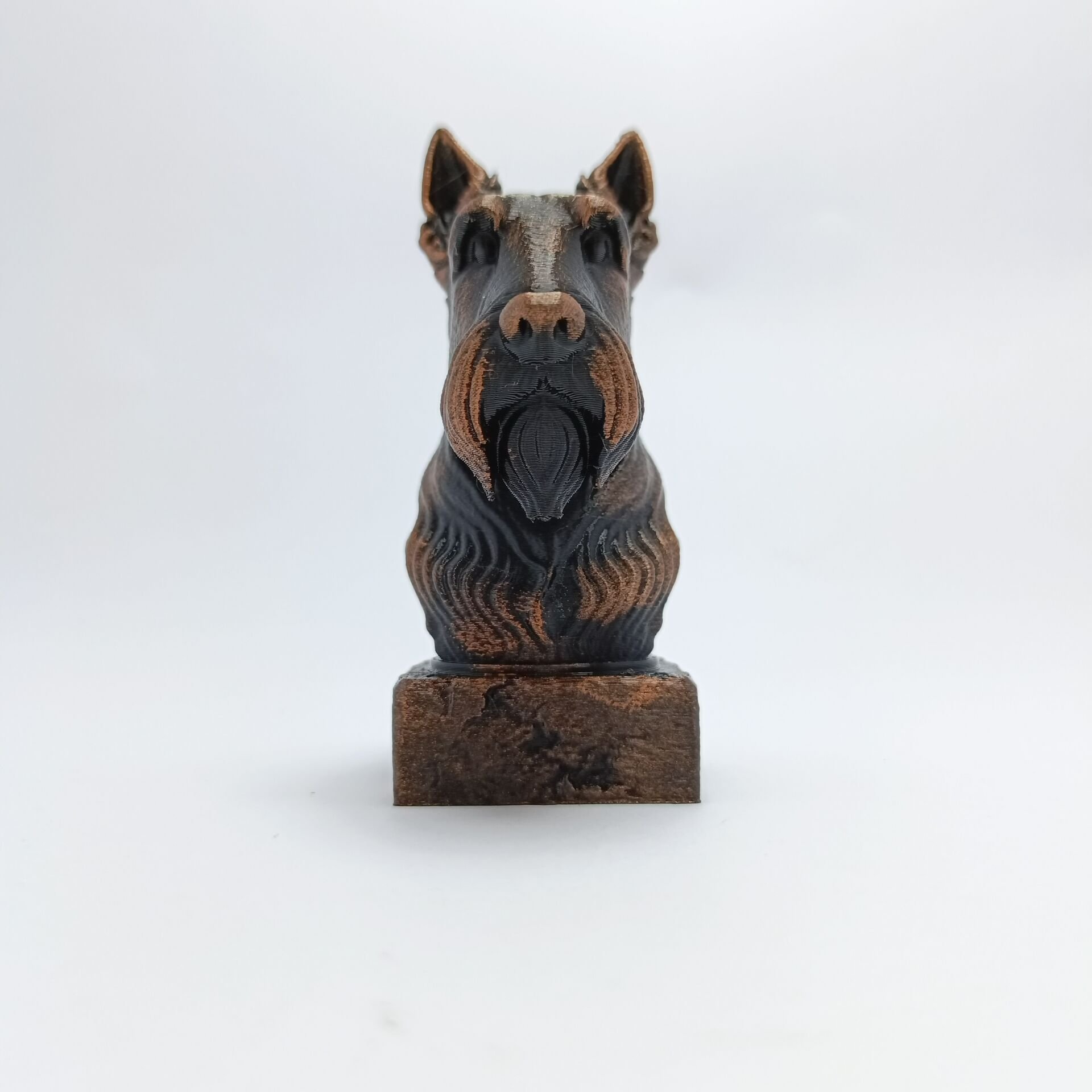Scottish Terrier - Büst