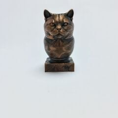 British Long Haired - Büst