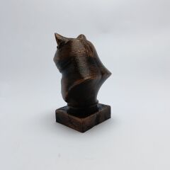 British Long Haired - Büst