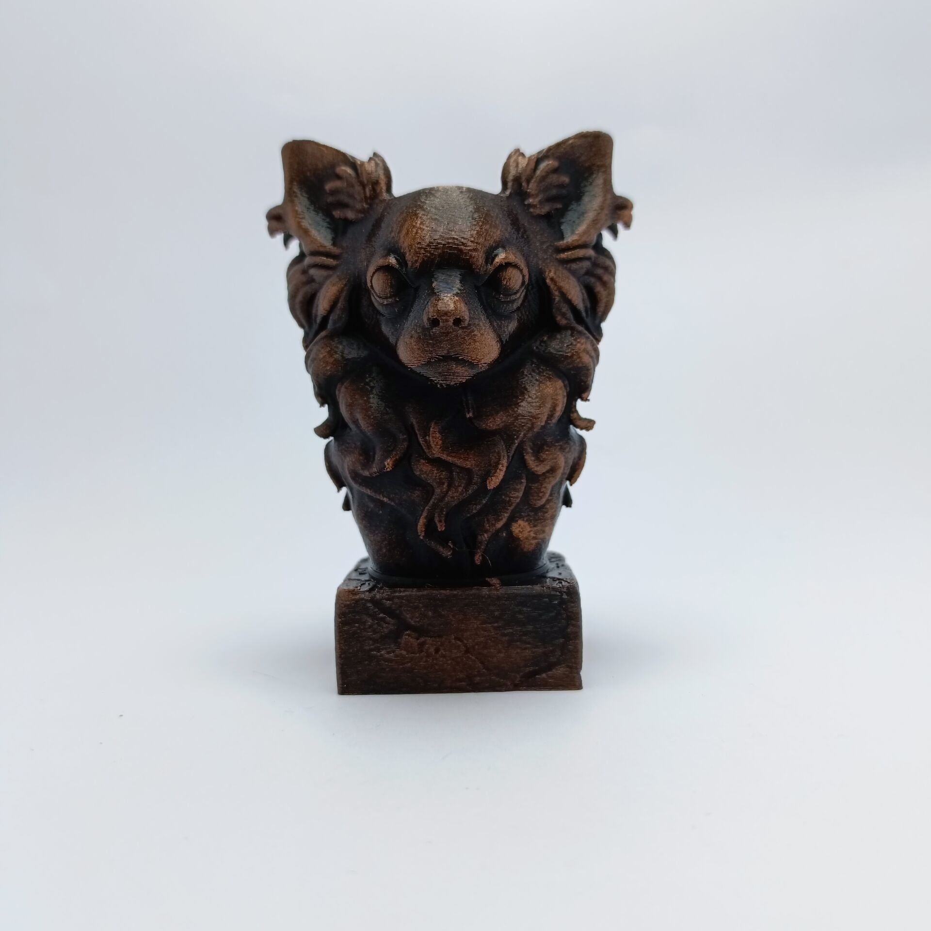 CHIHUAHUA LONG HAIR-SİYAH BÜST