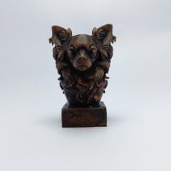 CHIHUAHUA LONG HAIR-SİYAH BÜST