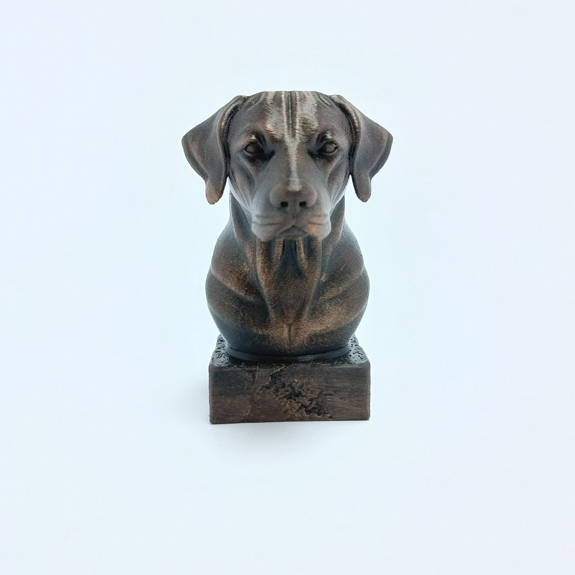 Labrador  - Büst