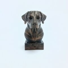 Labrador  - Büst