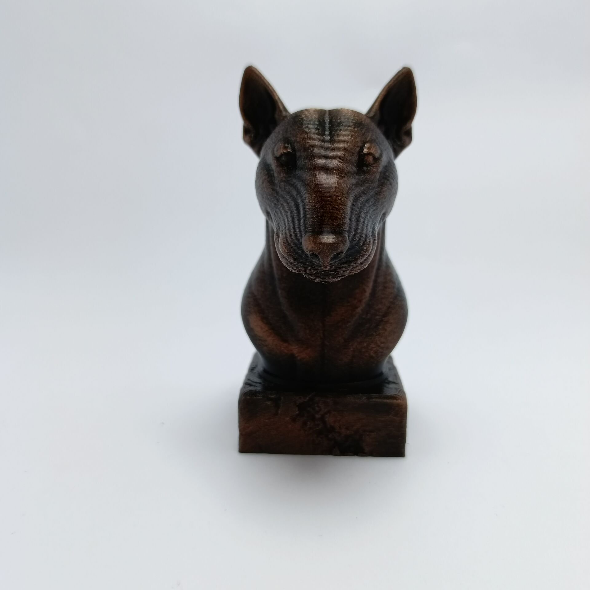 Bull Terier  - Büst