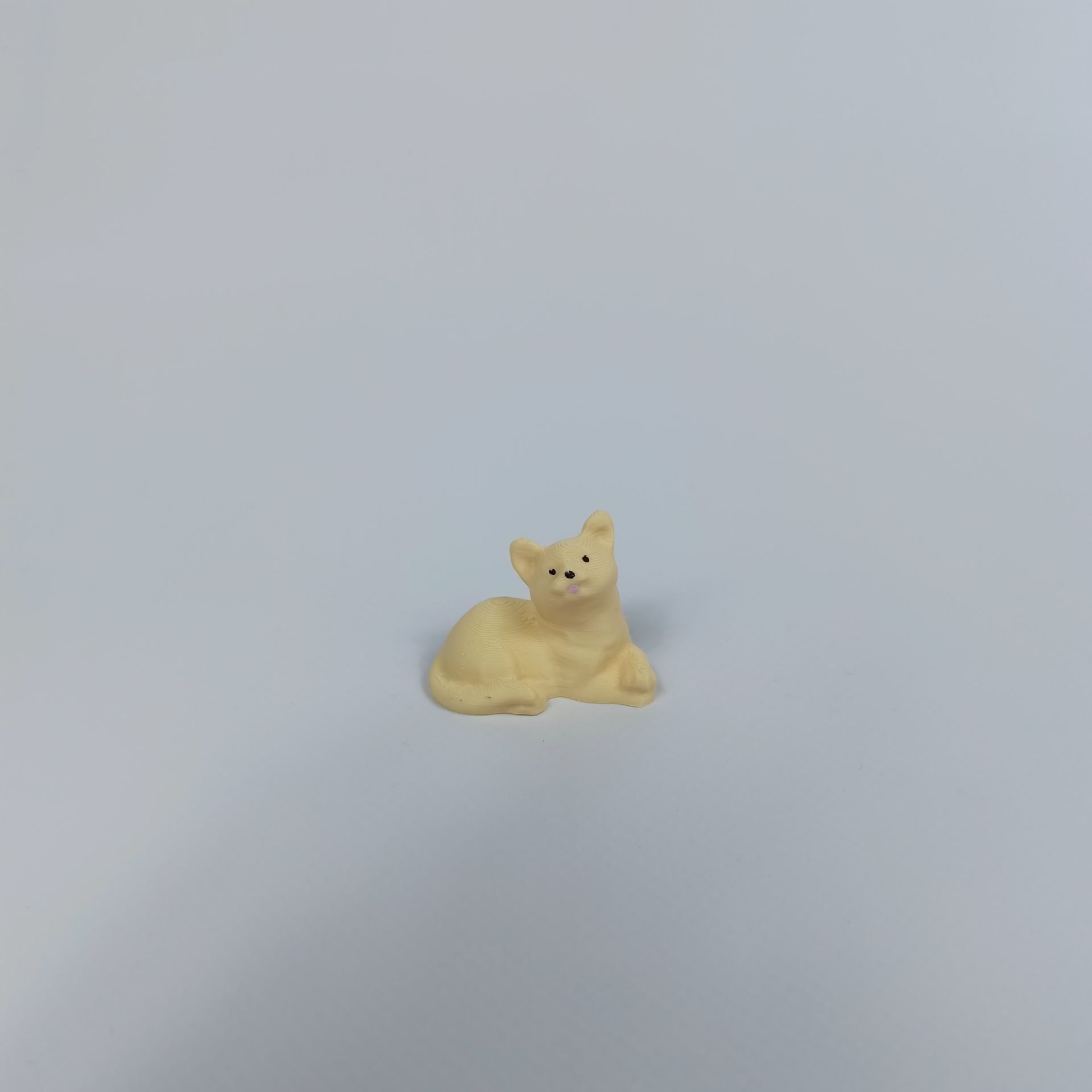 Minyatür Kedi-Teraryum Malzemesi