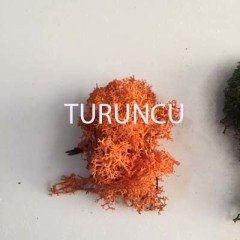 Doğal Yosun 20gr