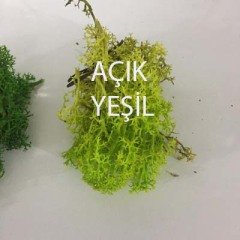 Doğal Yosun 20gr