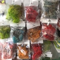 Doğal Yosun 20gr