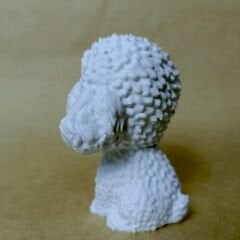 Poodle - Beyaz- Renkli Büst