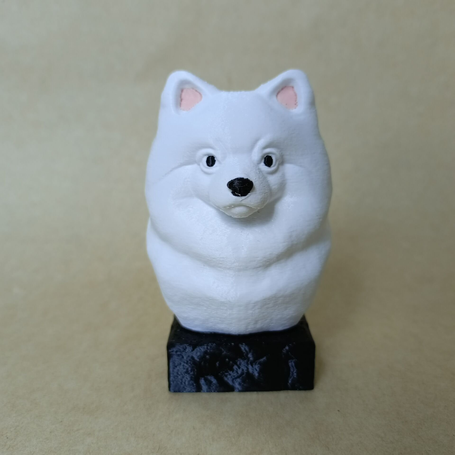 pomeranian - Beyaz- Renkli Büst