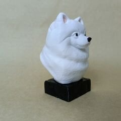 pomeranian - Beyaz- Renkli Büst