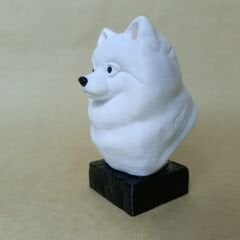 pomeranian - Beyaz- Renkli Büst