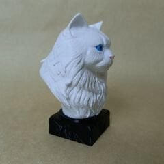 british longhair- Beyaz- Renkli Büst