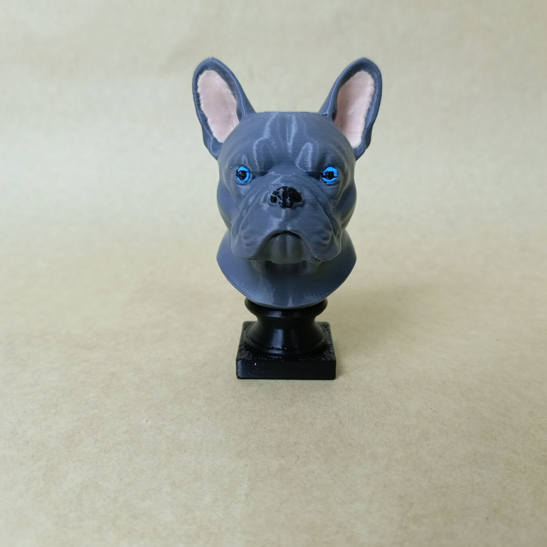 french bulldog- Renkli Büst