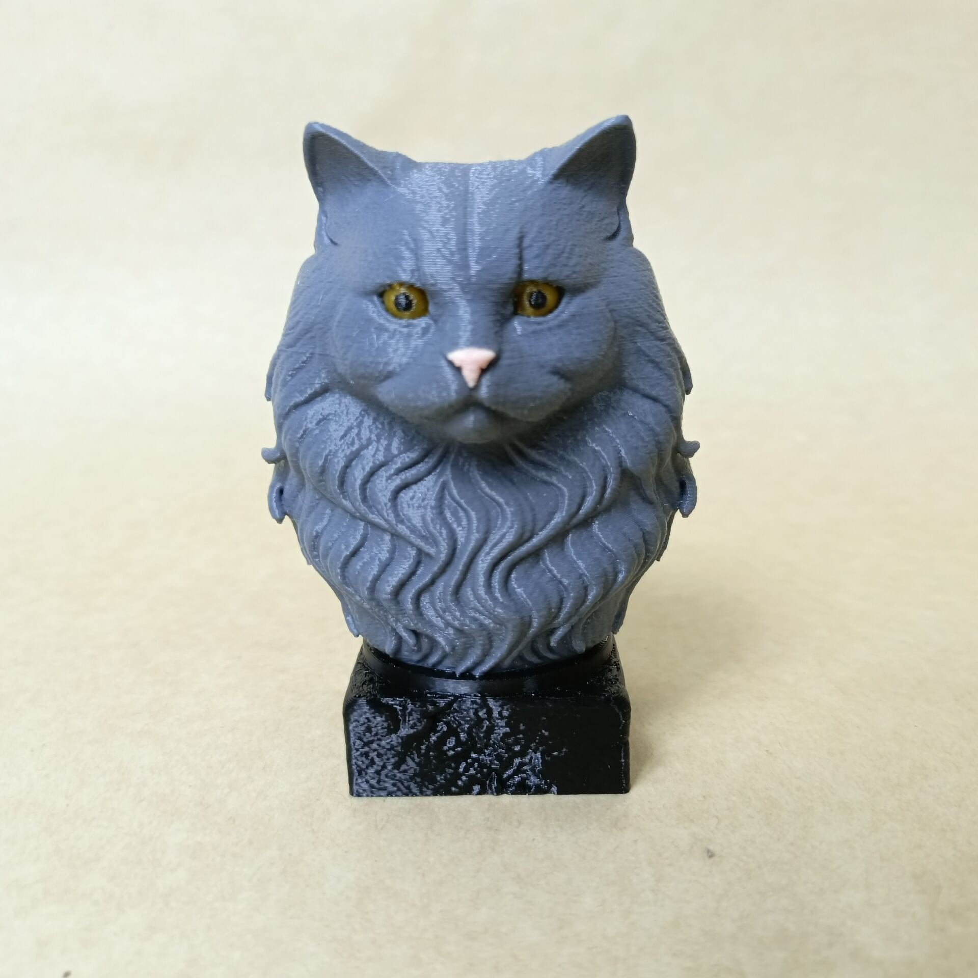 Brithish Lonhair-Gri - Büst