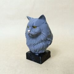 Brithish Lonhair-Gri - Büst