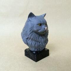 Brithish Lonhair-Gri - Büst