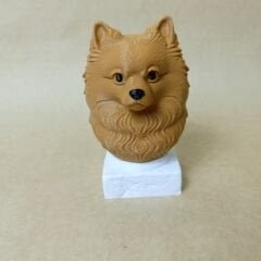 Pomeranian -Kahverengi- Renkli Büst