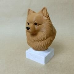 Pomeranian -Kahverengi- Renkli Büst