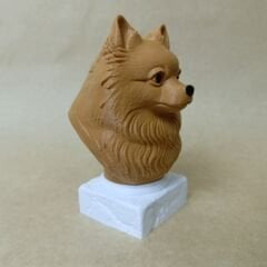 Pomeranian -Kahverengi- Renkli Büst