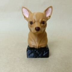 Chihuahua- Renkli Büst