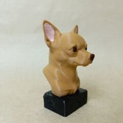 Chihuahua- Renkli Büst