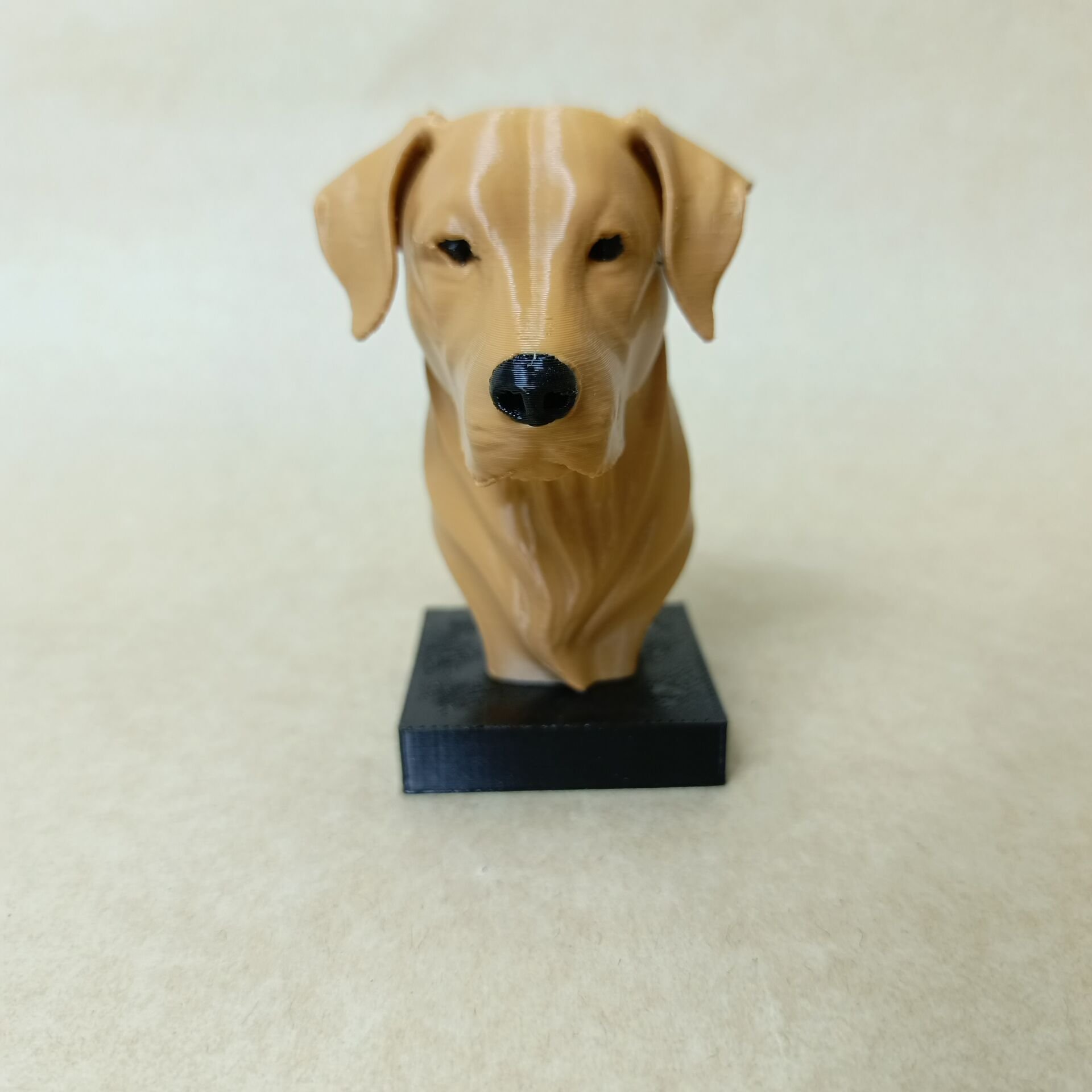 Golden Retriever- Renkli Büst