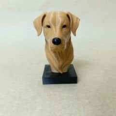 Golden Retriever- Renkli Büst