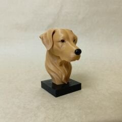 Golden Retriever- Renkli Büst