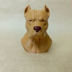 PITBULL -S.KAHVE BÜST