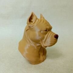 PITBULL -S.KAHVE BÜST