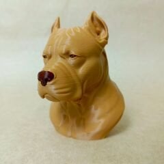 PITBULL -S.KAHVE BÜST