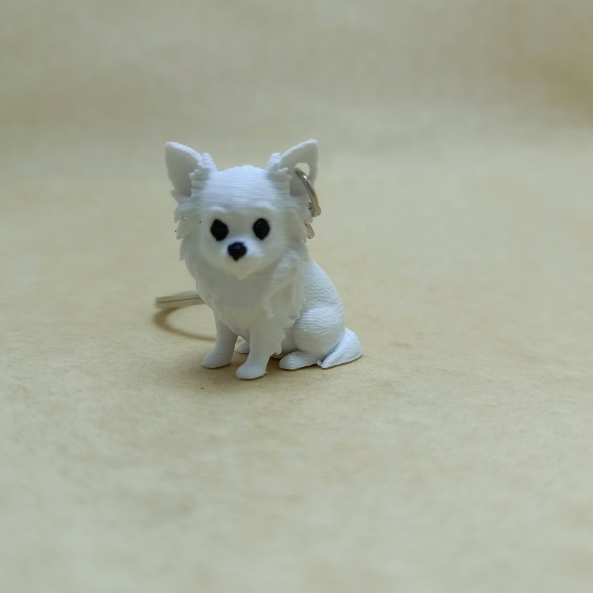 chihuahua - Uzun tüylü - Beyaz - Anahtarlık