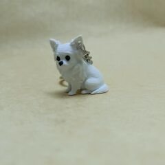 chihuahua - Uzun tüylü - Beyaz - Anahtarlık