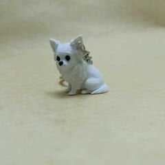 Chihuahua - Uzun tüylü - Beyaz - Anahtarlık