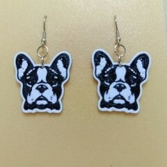 FRENCH BULLDOG  SALLANTILI KÜPE