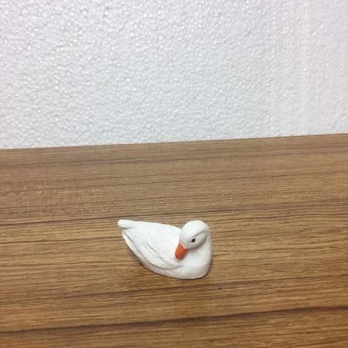 Kuğu Teraryum Malzemesi