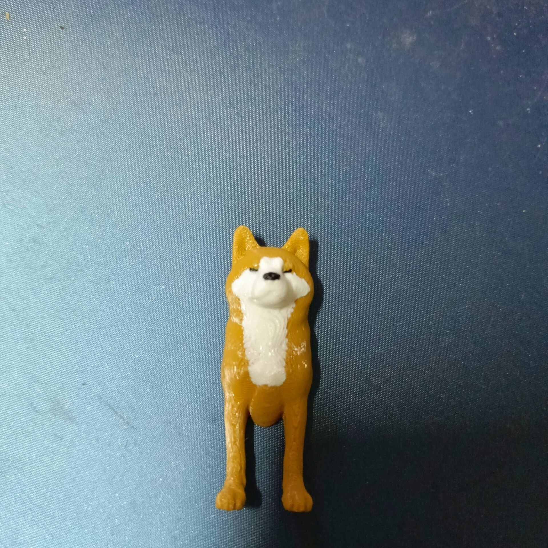 Akita Magnet