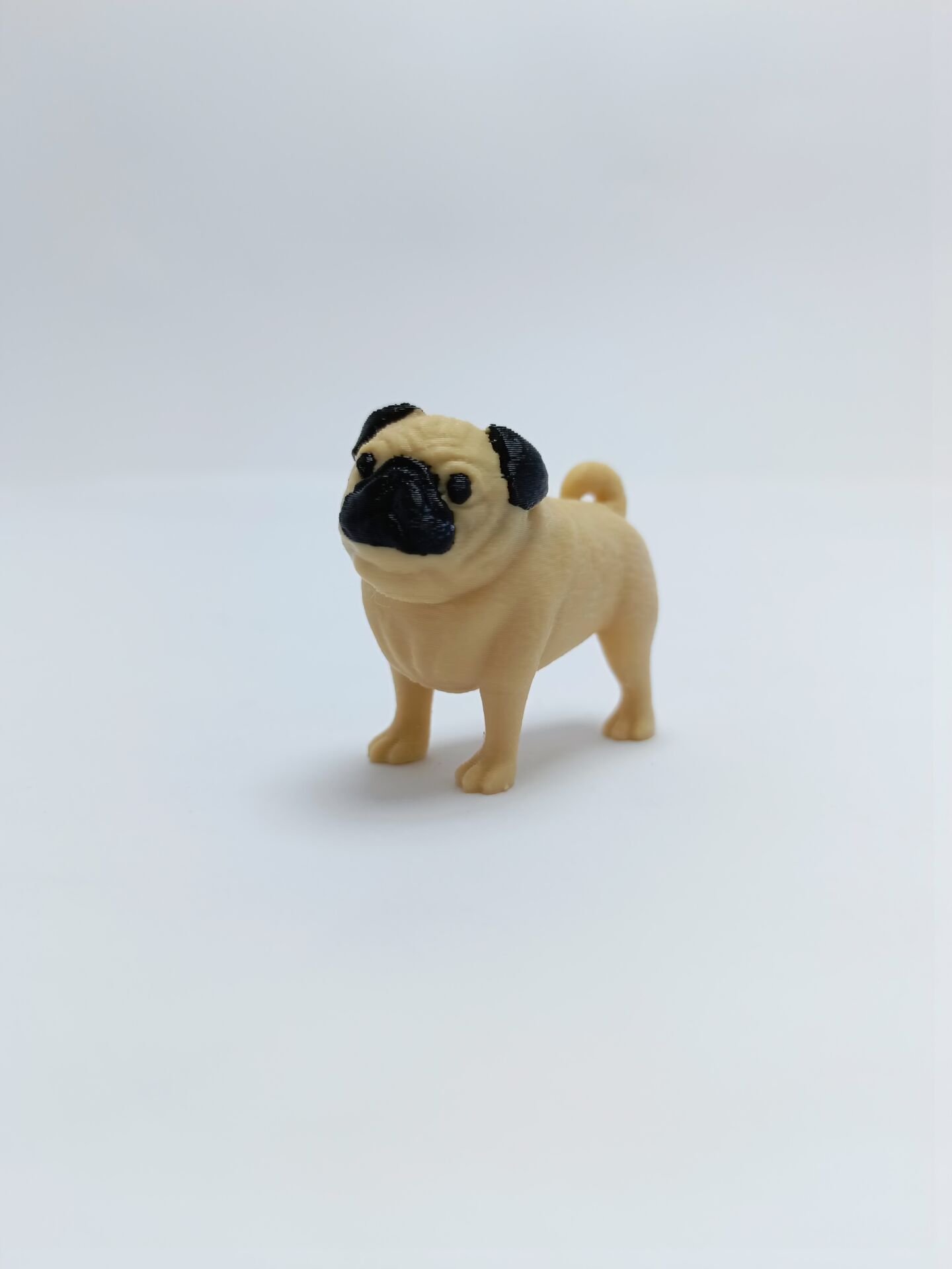 Pug  Magnet
