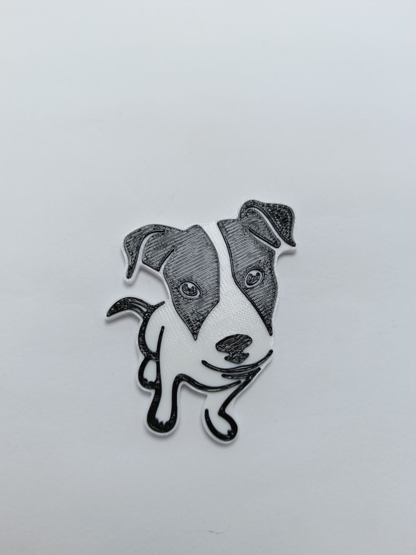 Siyah Beyaz Köpek Magnet