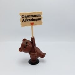 Neşeli Ayıcık- Canım arkadaşım - Teraryum malzemesi