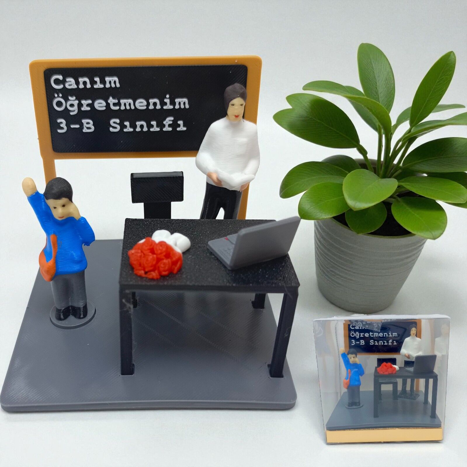 Sınıf Platform -  Erkek öğretmen - Erkek öğrenci - Öğretmenler günü hediyesi